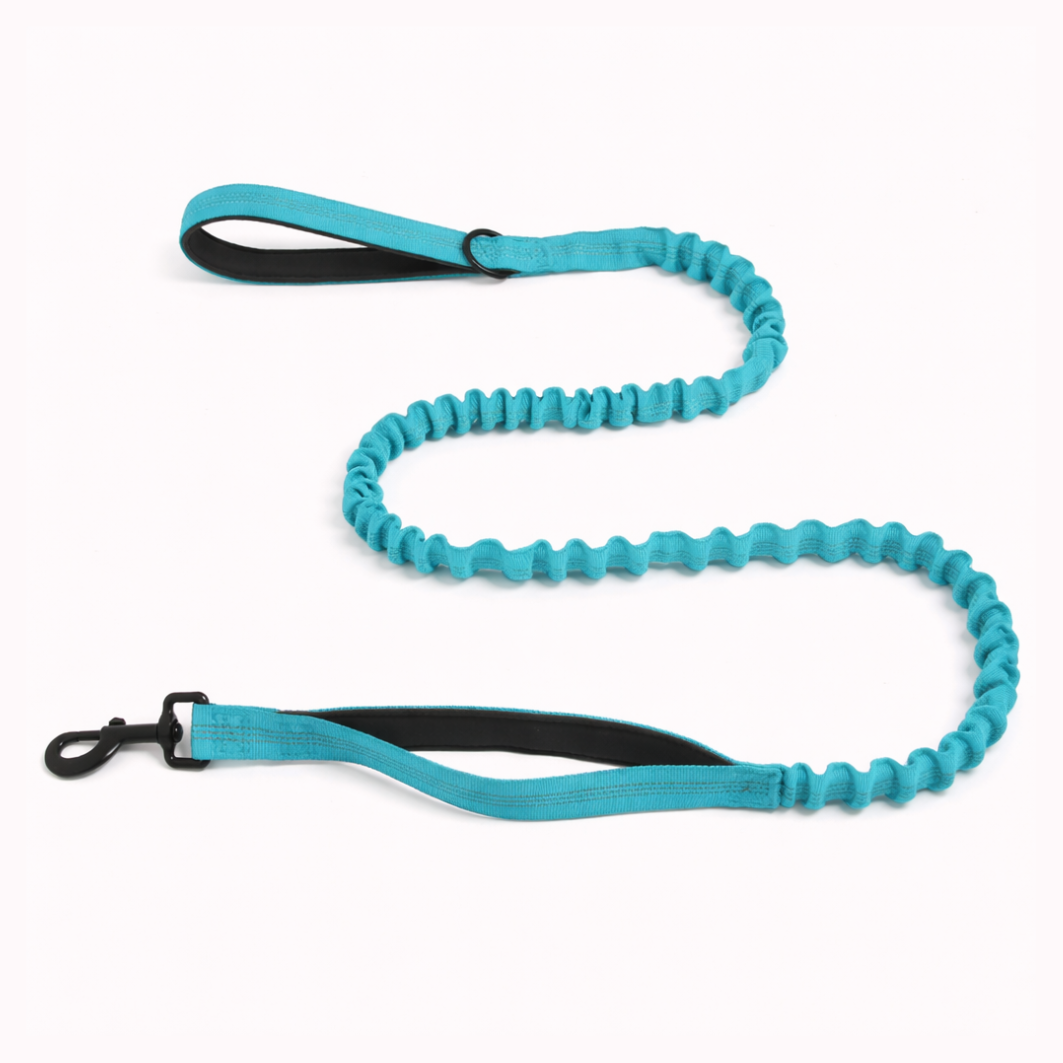 ParoPet Bungee Dog Lead