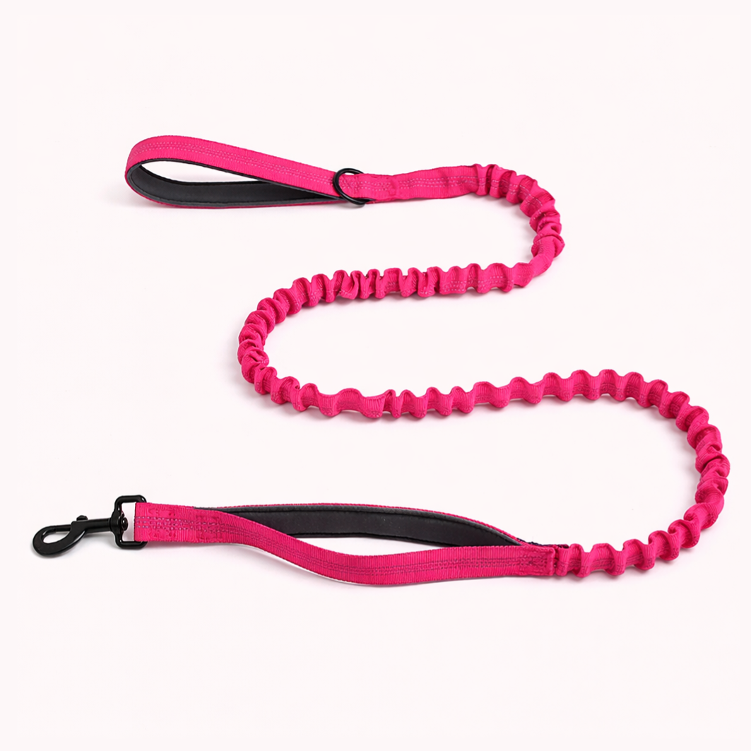 Laisse élastique assortie OFFERTE 🎁