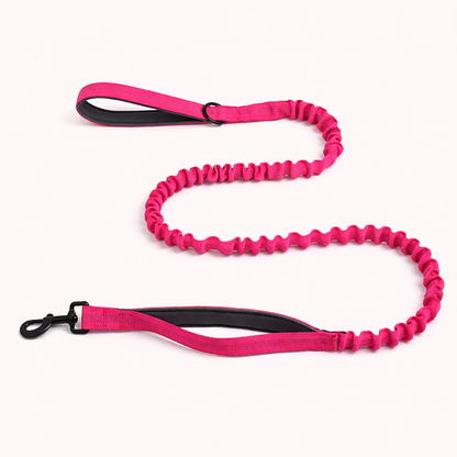 Laisse élastique assortie OFFERTE 🎁