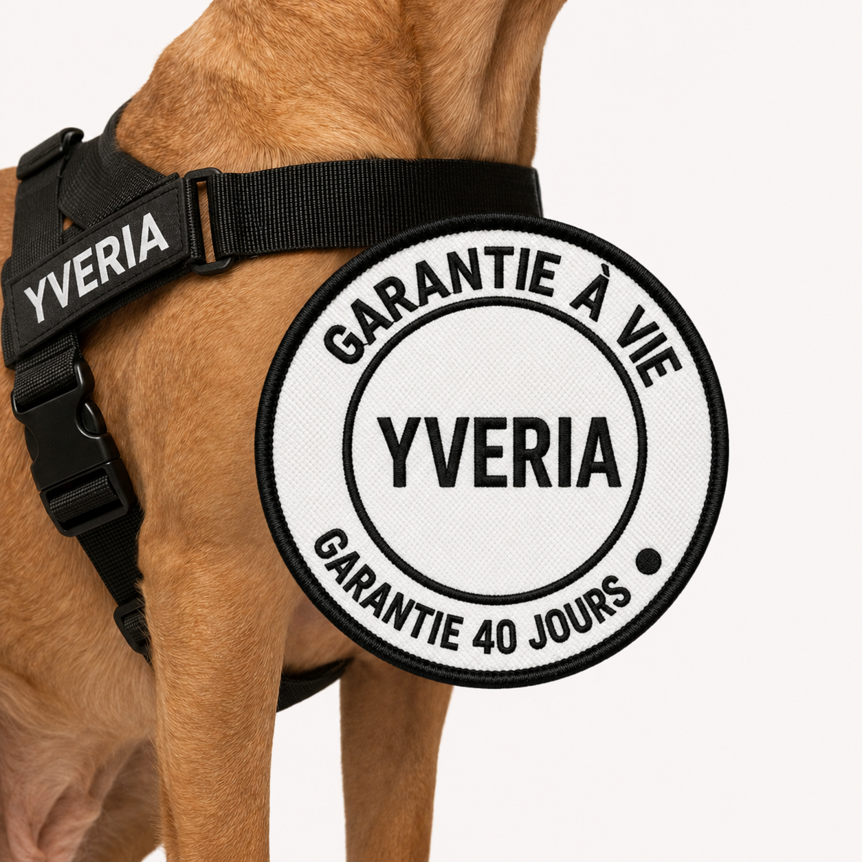 Yveria — Le Harnais Anti-Traction Sans Étranglement