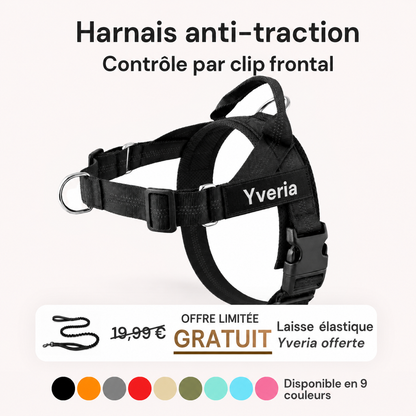 Yveria — Le Harnais Anti-Traction Sans Étranglement