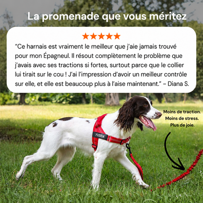Yveria — Le Harnais Anti-Traction Sans Étranglement