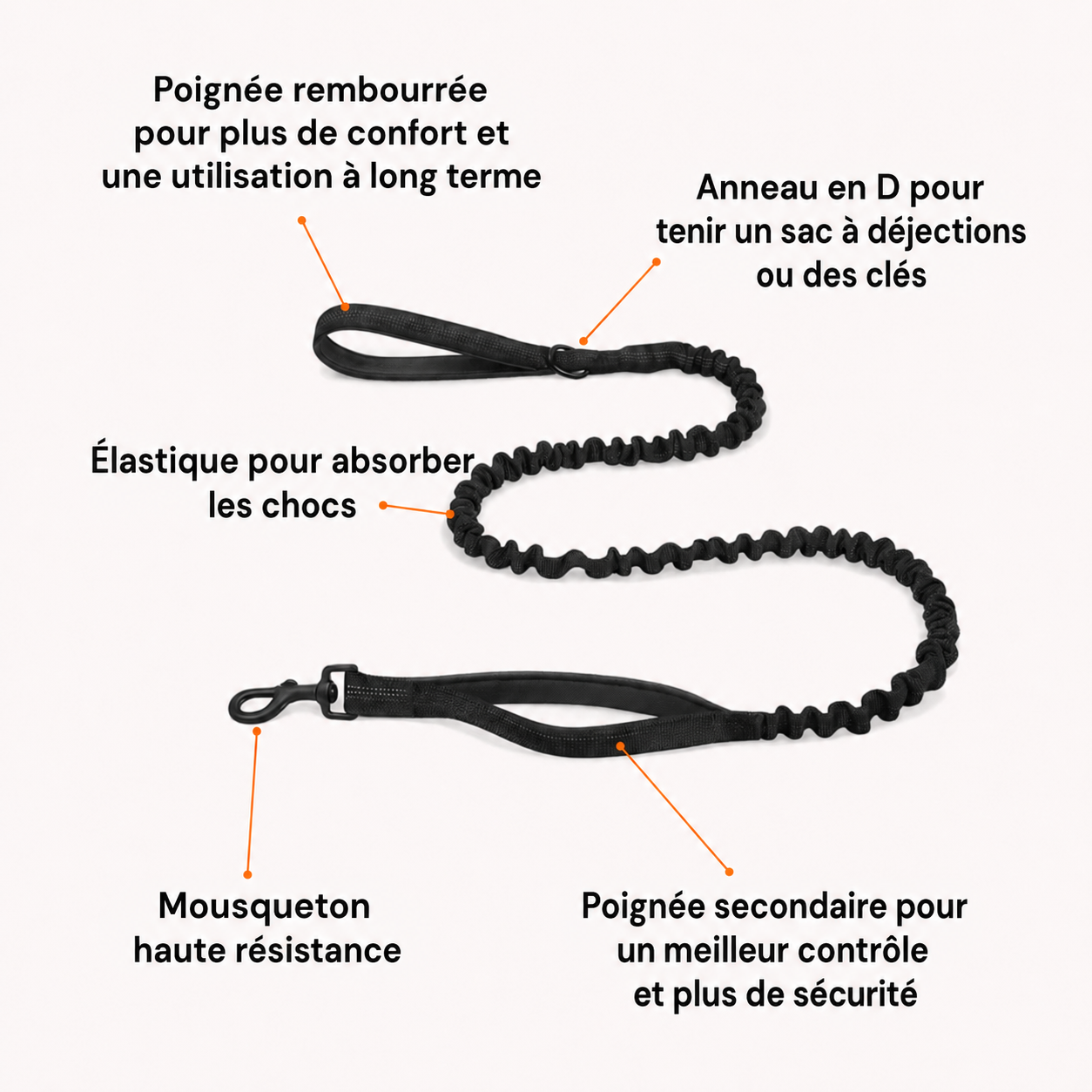 Yveria — Le Harnais Anti-Traction Sans Étranglement