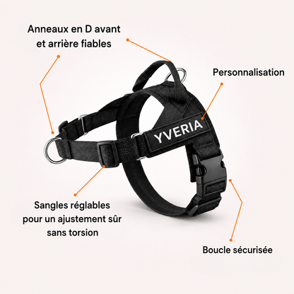 Yveria — Le Harnais Anti-Traction Sans Étranglement