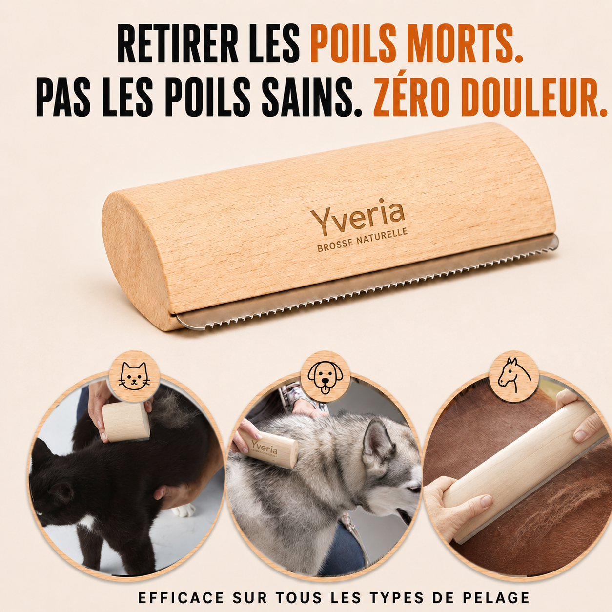 Yveria — La Brosse qui Retire les Poils Morts en un Seul Passage