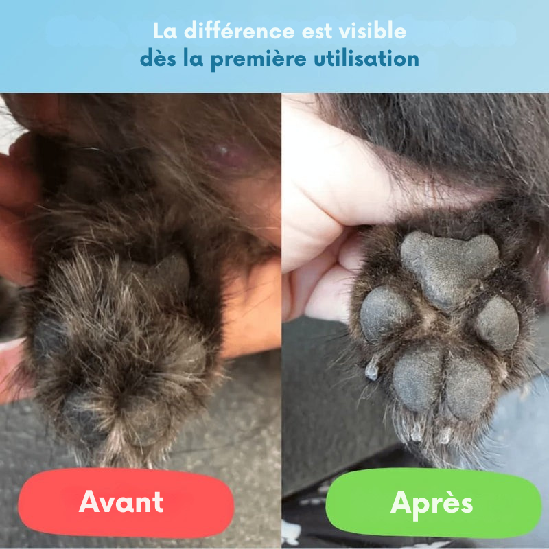Yveria Pro — Des pattes propres et sans douleur en quelques secondes