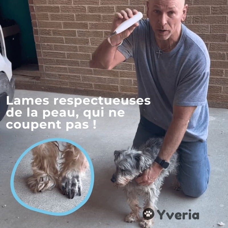 Yveria Pro — Des pattes propres et sans douleur en quelques secondes