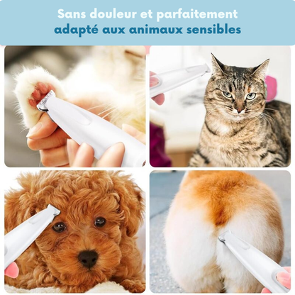 Yveria Pro — Des pattes propres et sans douleur en quelques secondes